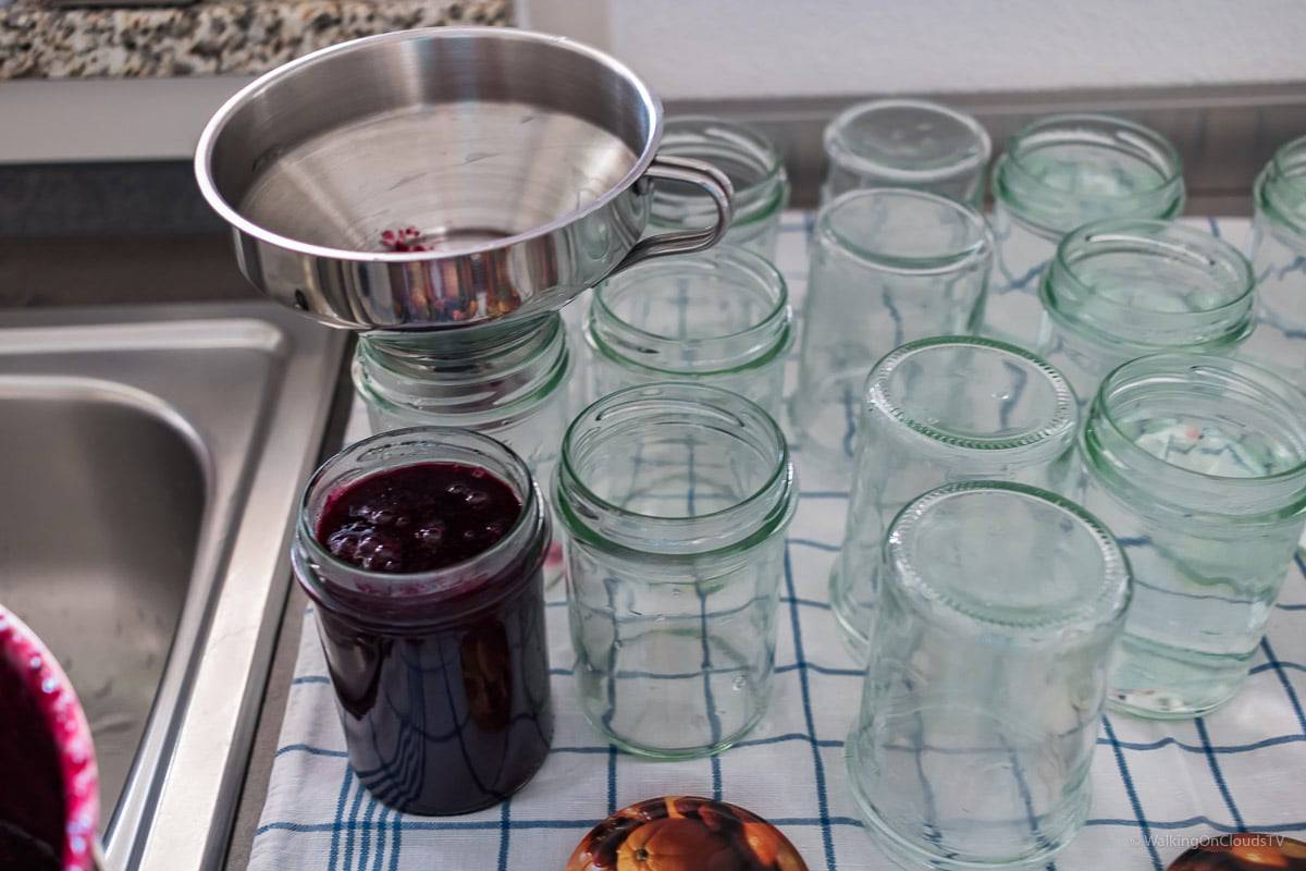 Apfel-Blaubeer-Marmelade-Zimt, hausgemacht, ganz einfach, aus biologischem Anbau,