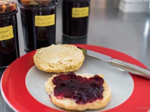 Apfel-Blaubeer-Marmelade-Zimt, hausgemacht, ganz einfach, aus biologischem Anbau,