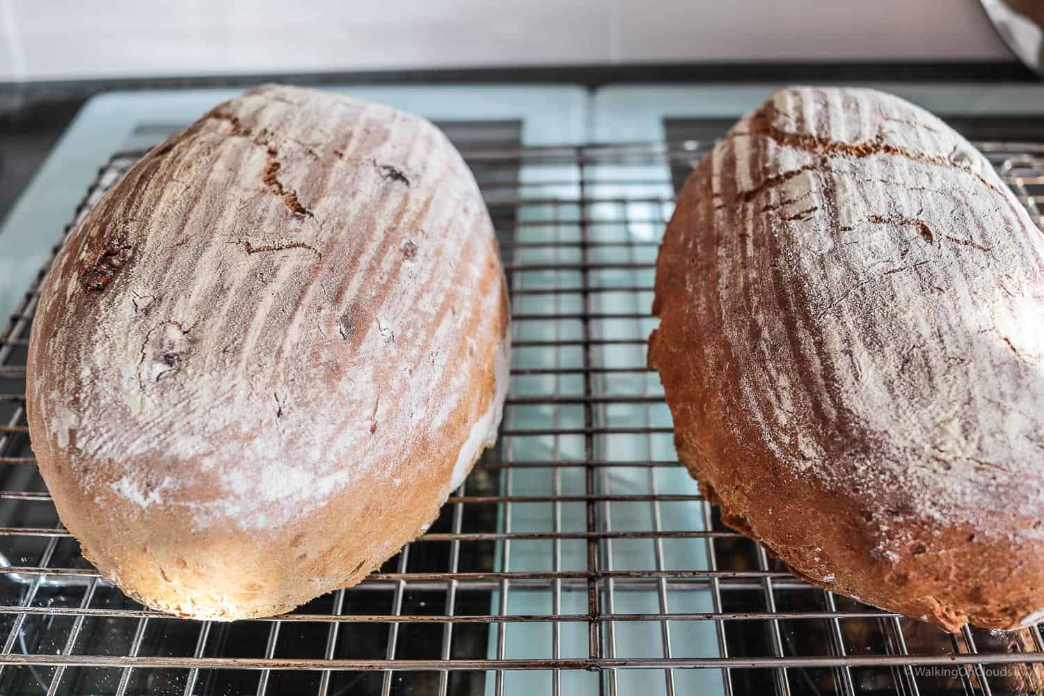 Brot selber backen mit den Brotbackmischungen von Brotliebling ist ganz einfach. Alle Zutaten sind Bio, ohne Zusatzstoffe